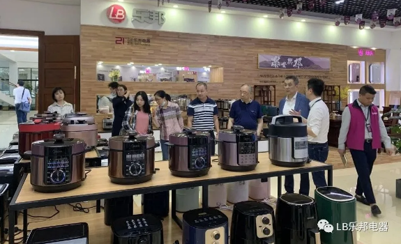 Chairman of China Household Electrical Appliances Association visited our company